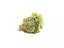 Lemon Skunk CBD 14%