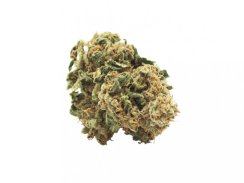 Sugar Queen CBD 17%
