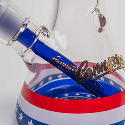 BL CANNIFORNIA Boxed Bong